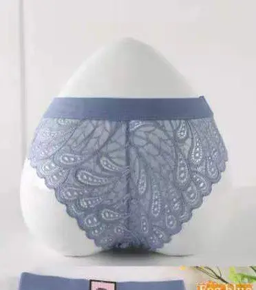 Women Lace Mesh Panty | Soft Comfortable Briefs - Image 4