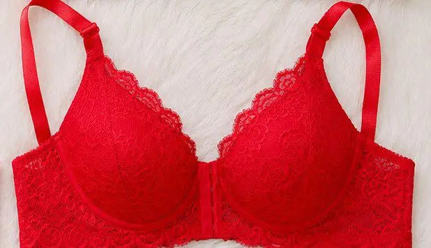 Women Lace Push Up Bra High Quality Stylish Innerwear - Image 5