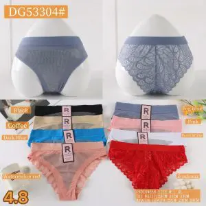 Women Lace Mesh Panty | Soft Comfortable Briefs
