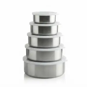 5 Pcs Stainless Steel Fresh Box Set with Airtight Lids